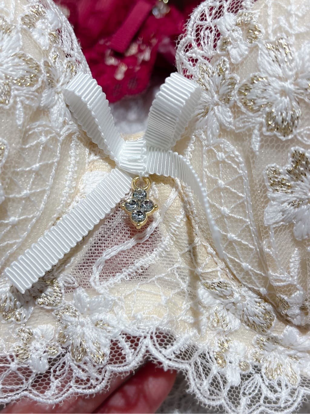 Hisaeさんの「Risa Magli｜フェリシテ ブラジャー」を使ったコーディネート