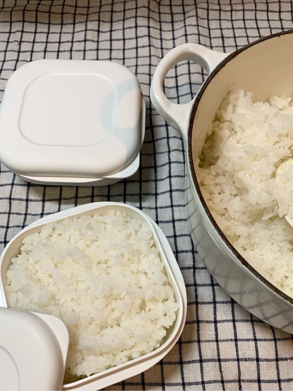 mikachoさんの「212 KITCHEN STORE｜極　冷凍ご飯容器 2個入り ＜marna マーナ＞」を使ったコーディネート
