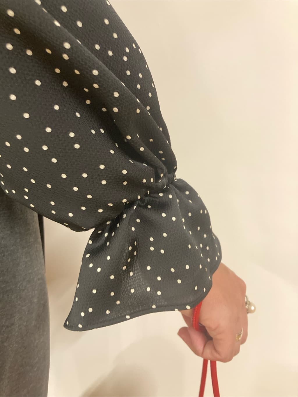 Harukaさんの「DRESSTERIOR｜」を使ったコーディネート