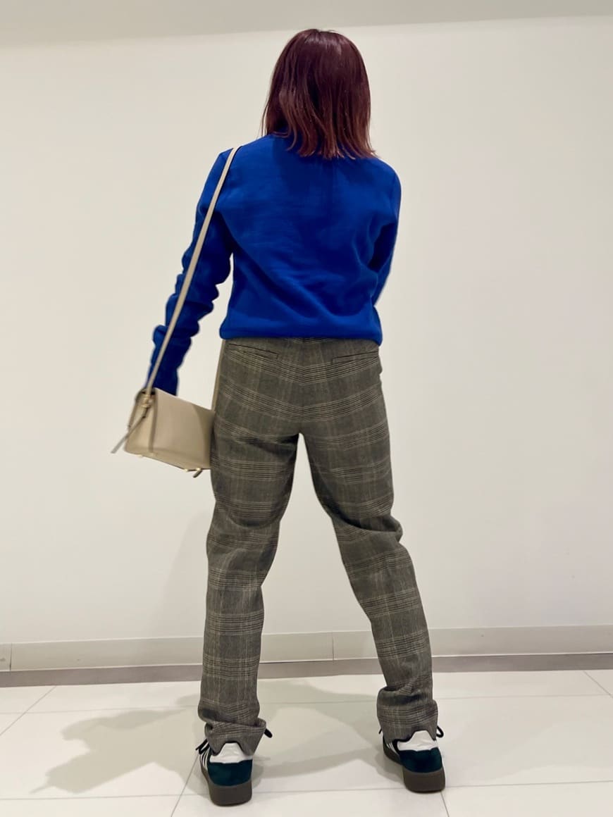 Reecoさんの「DRESSTERIOR｜」を使ったコーディネート