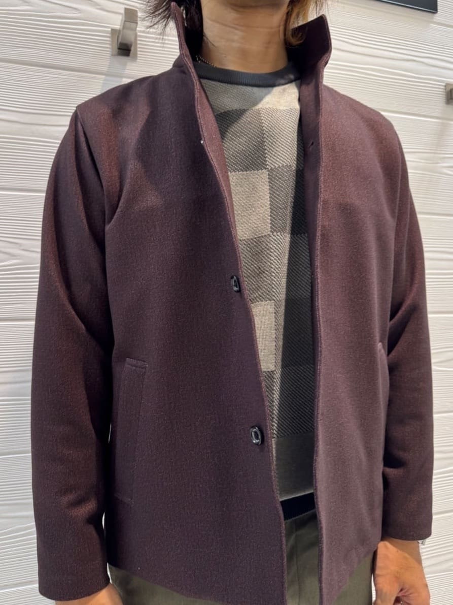 井出恭輔さんの「TAKEO KIKUCHI｜【DOWN FABRIC】ダウンファブリック スタンドカラーブルゾン」を使ったコーディネート