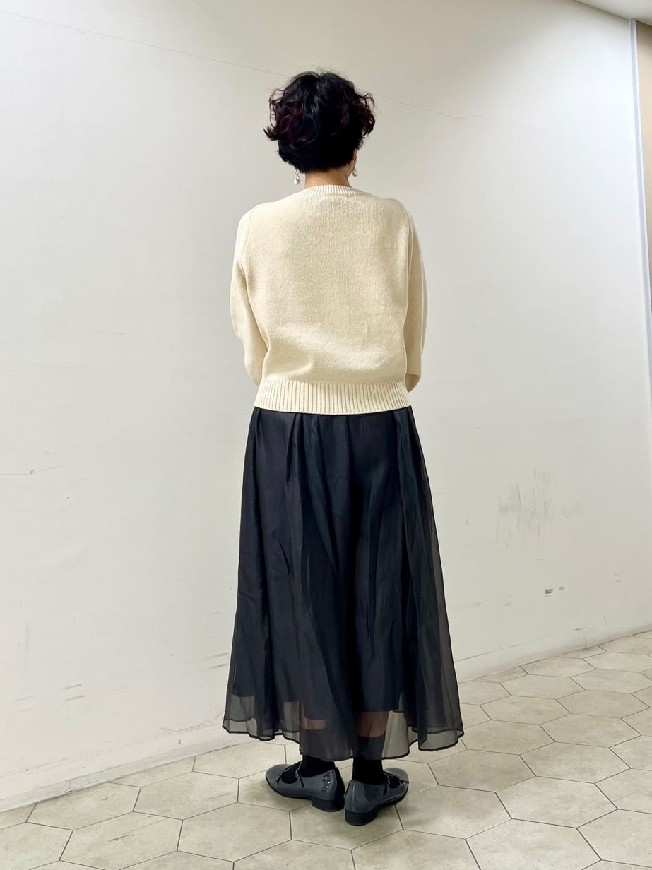 ushijimaさんの「UNTITLED｜◆【後ろウエストゴム/洗える】シアーローンロングスカート」を使ったコーディネート