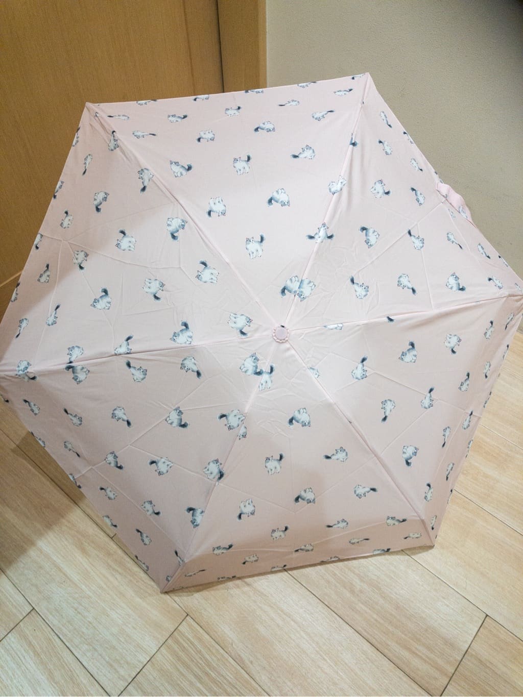 ちぃこさんの「grove｜【晴雨兼用】キャッツトートバッグミニ」を使ったコーディネート