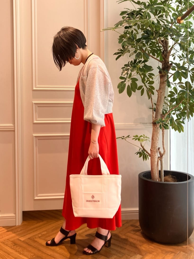 konominさんの「DRESSTERIOR｜」を使ったコーディネート