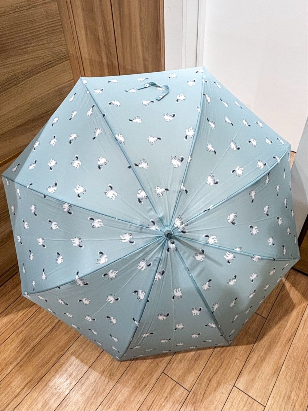 rhythmさんの「grove｜【晴雨兼用】雨長キャッツ（長傘）」を使ったコーディネート