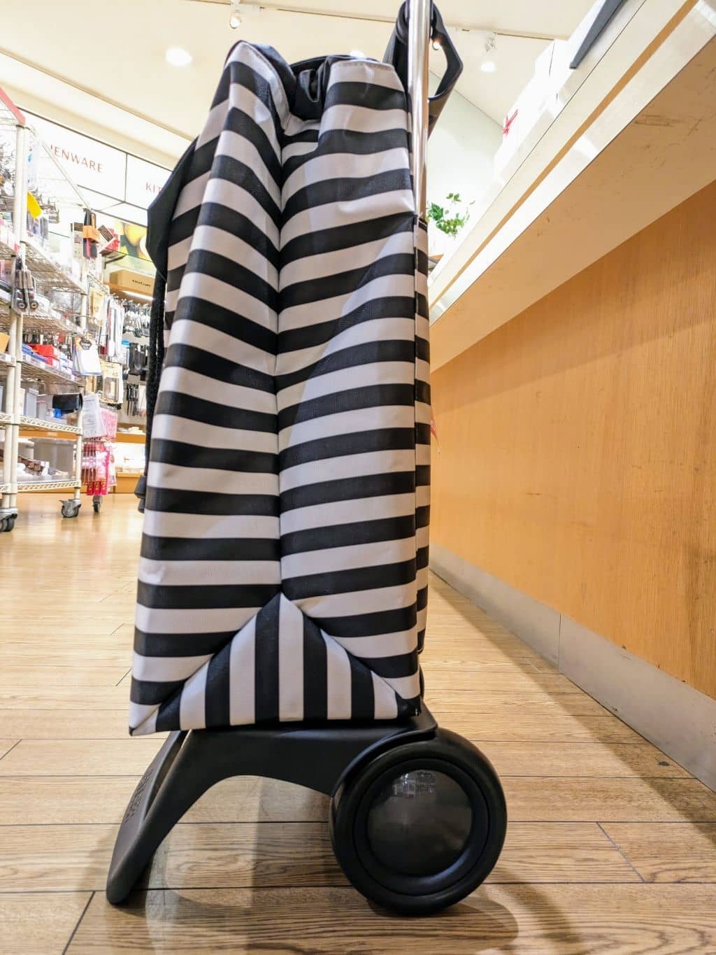 Shimanekoさんの「212 KITCHEN STORE｜JOYモノトーン MF BK ＜ROLSER ロルサー＞」を使ったコーディネート