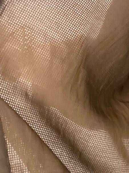 ISOさんの「Dessin｜【ウエストゴム/洗える】シアーエアリーパンツ」を使ったコーディネート
