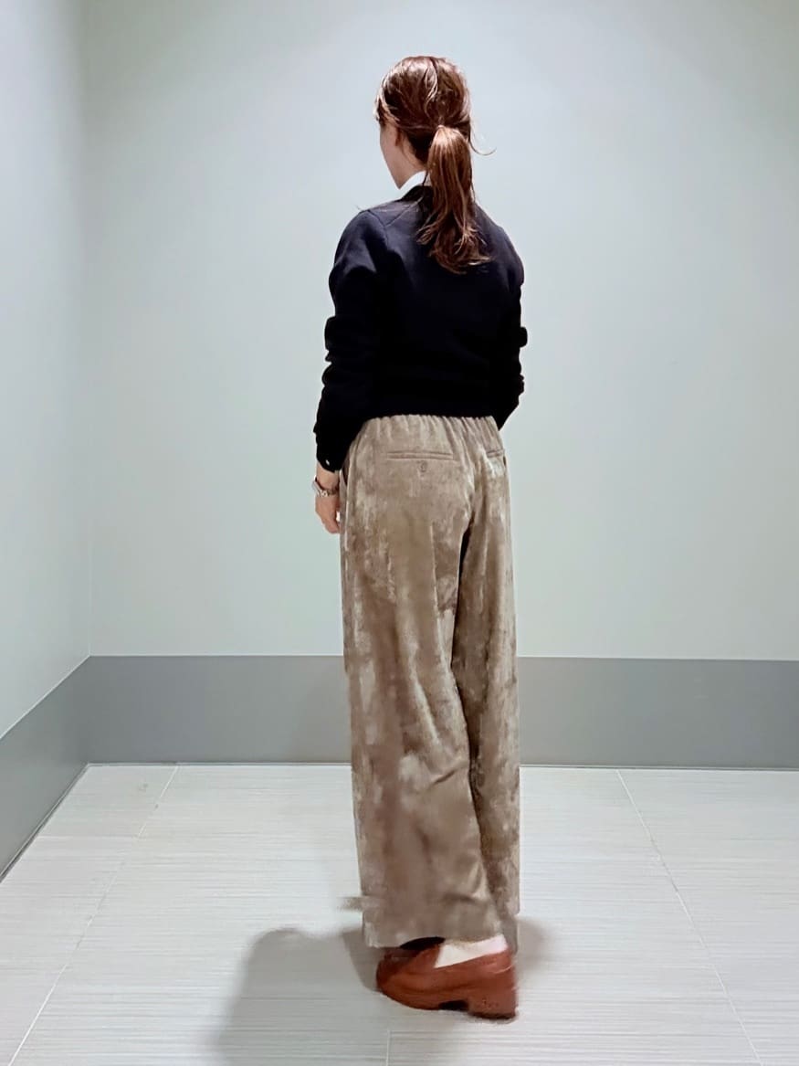 Yamaさんの「DRESSTERIOR｜◆【ウォッシャブル/シアー素材】フィルムドットクレリックブラウス」を使ったコーディネート
