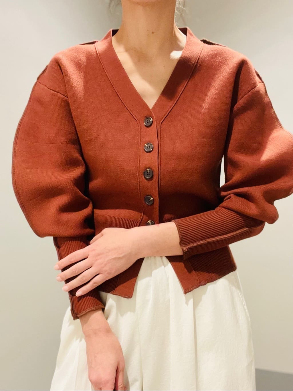 Annさんの「DRESSTERIOR｜」を使ったコーディネート
