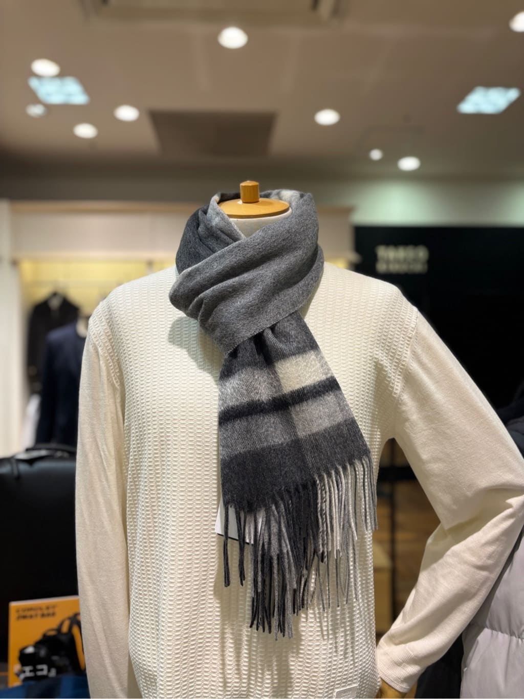 ヒナさんの「TAKEO KIKUCHI｜【洗えるカシミヤ】 ピュアカシミヤ パネルチェックマフラー」を使ったコーディネート