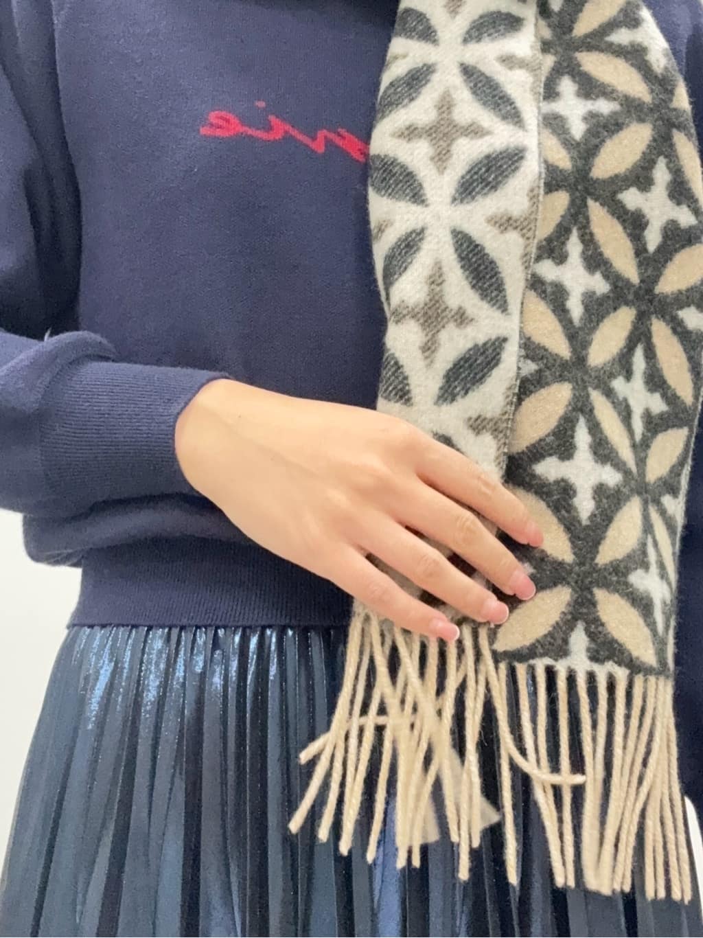 BUNさんの「DRESSTERIOR｜◆【洗える/ストレッチ性/オンオフ】箔プリントプリーツスカート」を使ったコーディネート