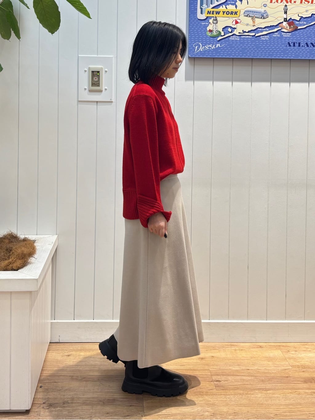 OKADAさんの「Dessin｜【洗える】センタータックラインハイネックニット」を使ったコーディネート