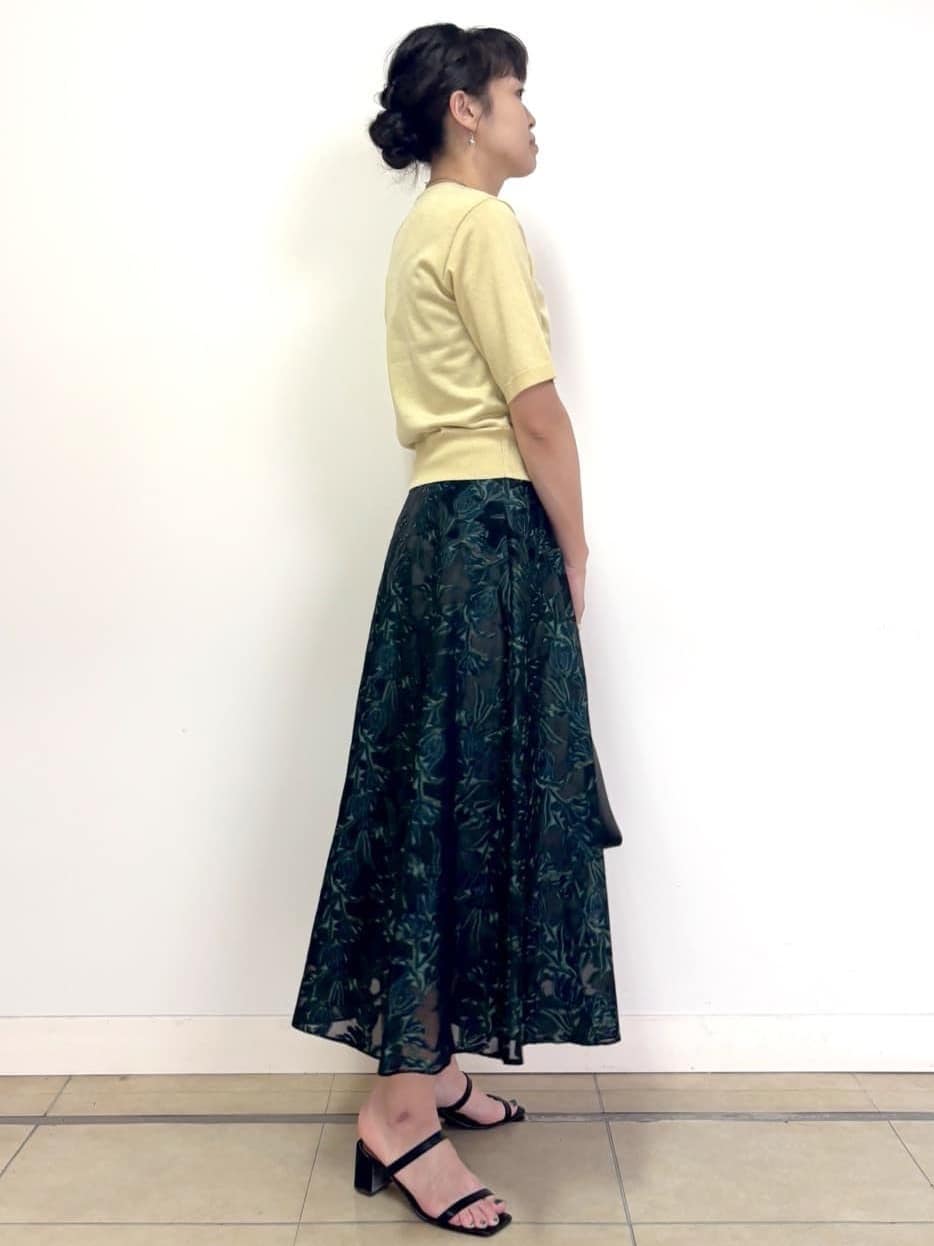 Harukaさんの「DRESSTERIOR｜◆【きれいめ/裏地取り外し可】シアージャカードスカート」を使ったコーディネート