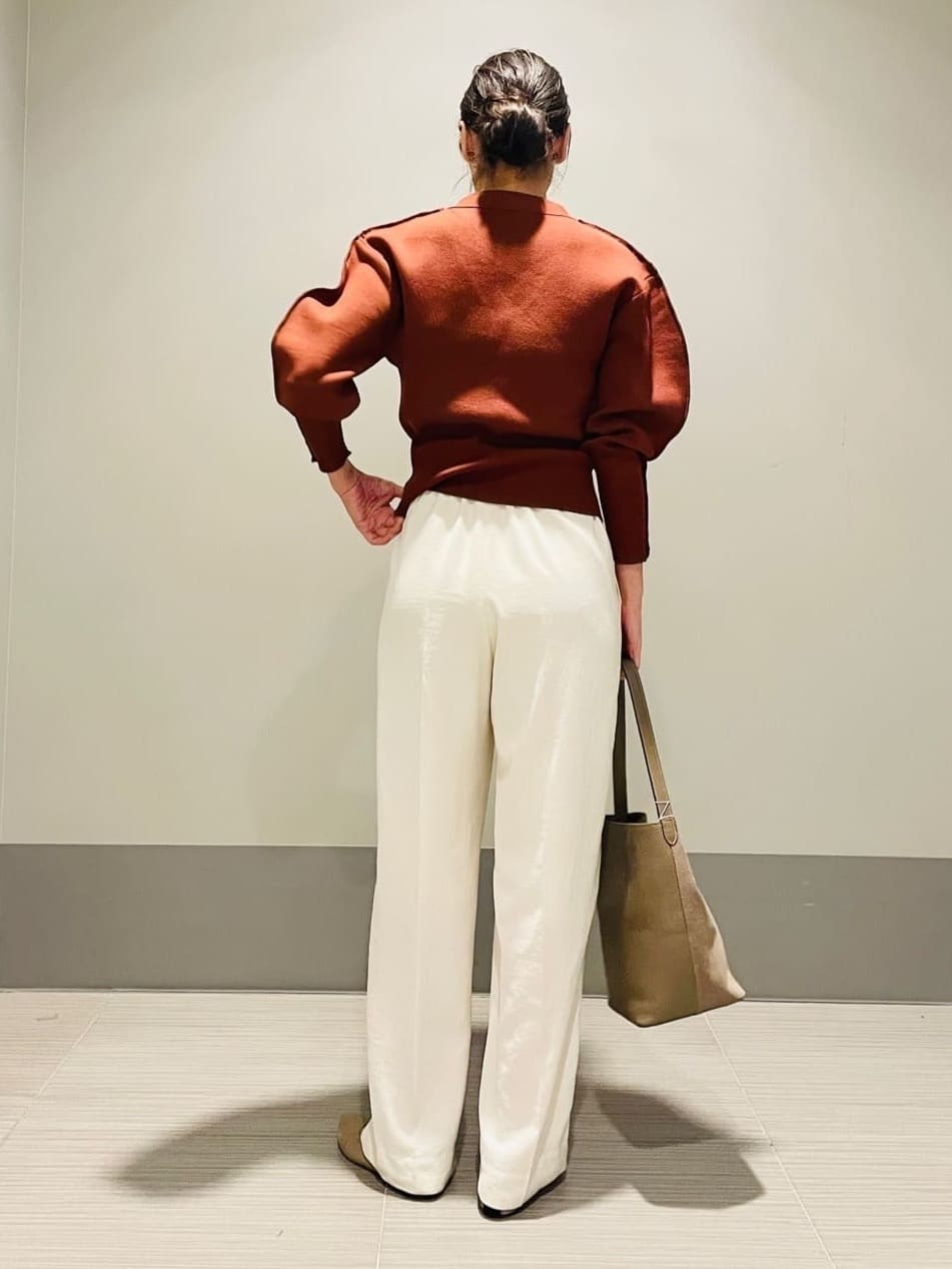 Annさんの「DRESSTERIOR｜」を使ったコーディネート