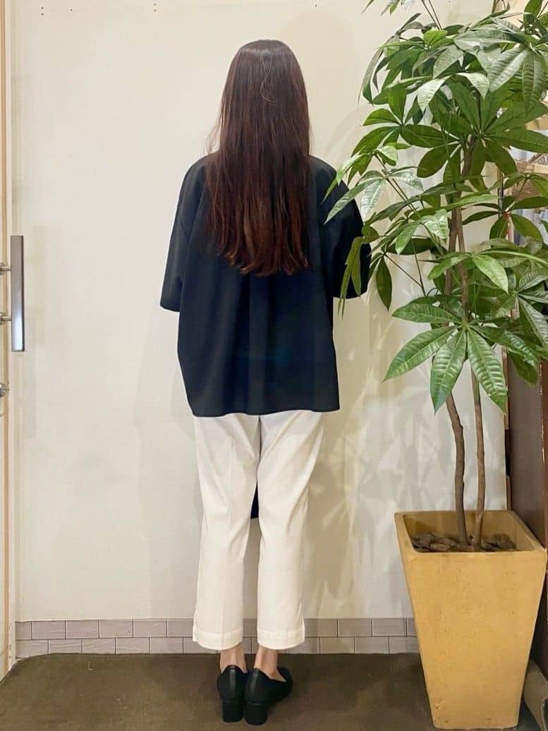 AYUMIさんの「SHOO･LA･RUE｜【S-LL/ひんやり】きれいめにもカジュアルにも サブリナパンツ」を使ったコーディネート