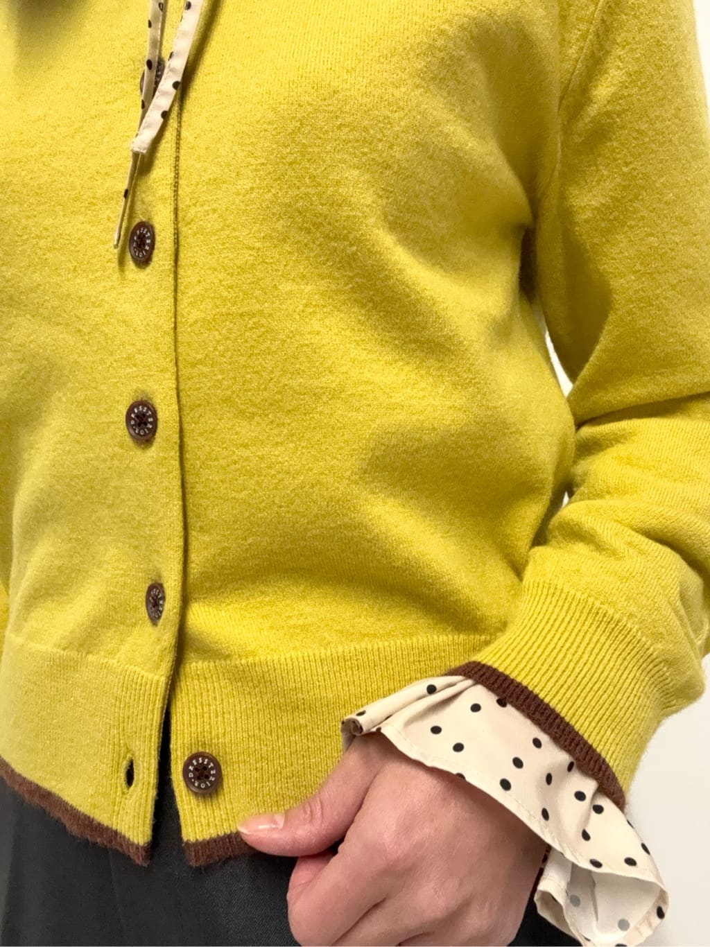 Nishijimaさんの「DRESSTERIOR｜」を使ったコーディネート