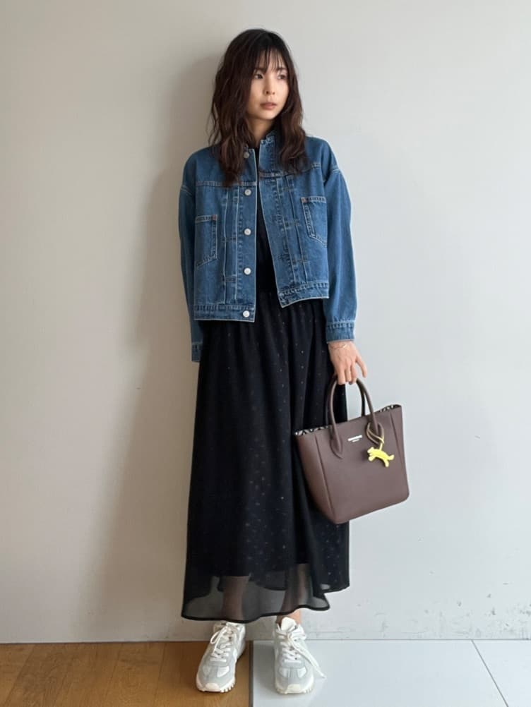 misaさんの「DRESSTERIOR｜【ウォッシャブル/きれいめ】フィルムドット シアードレス」を使ったコーディネート