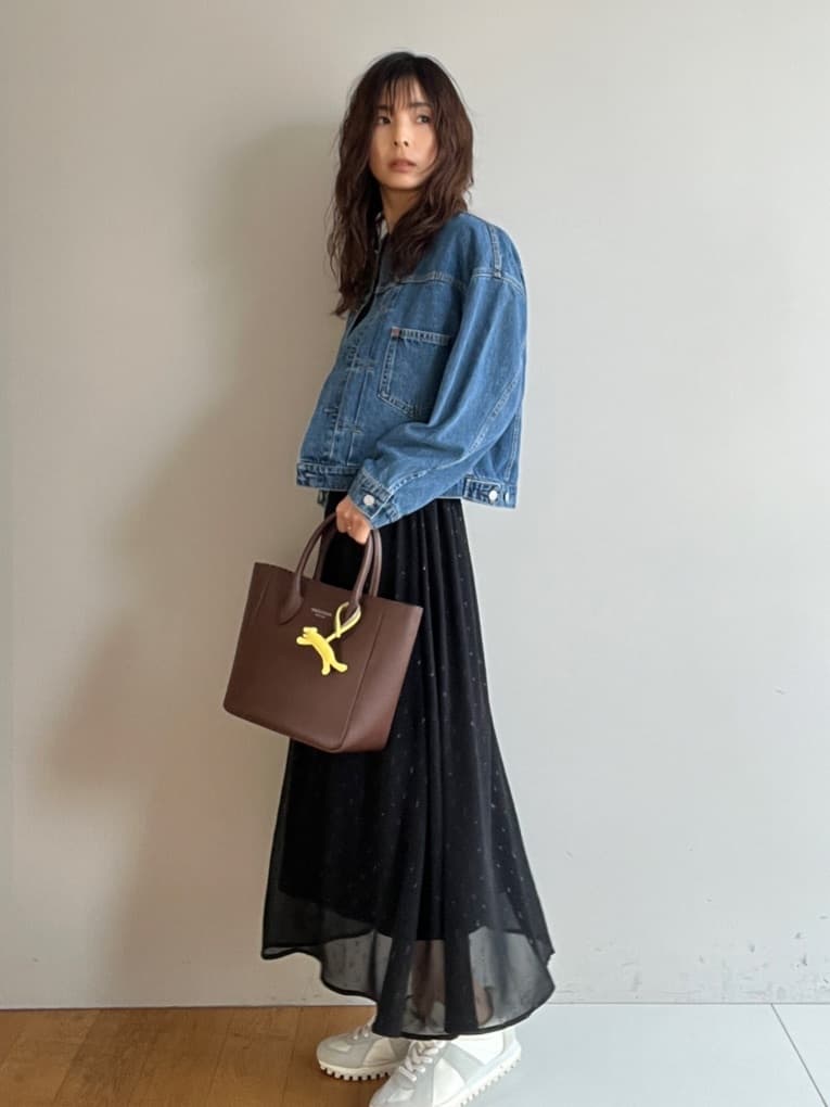misaさんの「DRESSTERIOR｜【ウォッシャブル/きれいめ】フィルムドット シアードレス」を使ったコーディネート