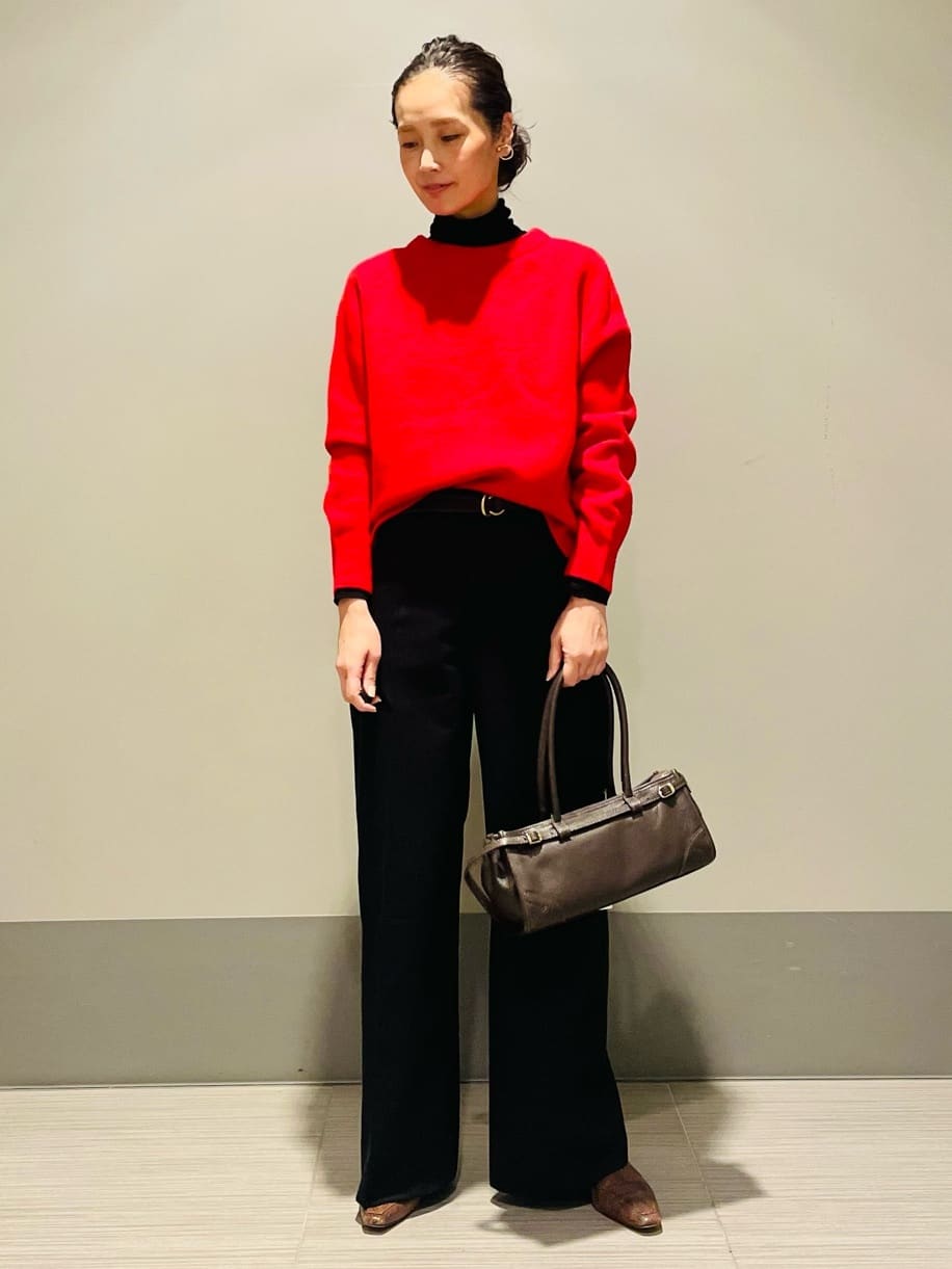 Annさんの「DRESSTERIOR｜【インナー使いに最適/しっとり暖かな吸湿発熱素材】タートルネックプルオーバー」を使ったコーディネート
