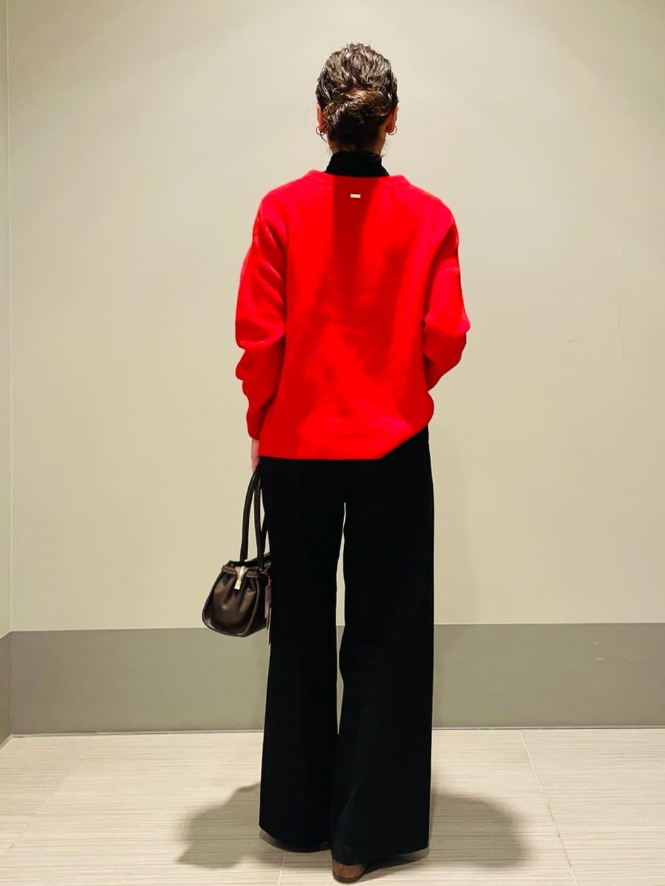 Annさんの「DRESSTERIOR｜【インナー使いに最適/しっとり暖かな吸湿発熱素材】タートルネックプルオーバー」を使ったコーディネート