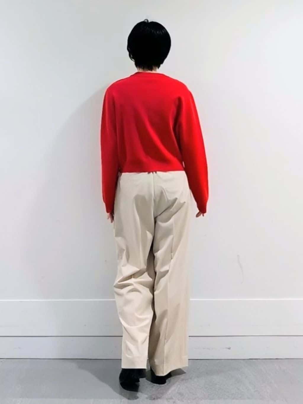 ミズタさんの「UNTITLED｜【洗える/ウエスト後ろゴム】ウール混　タックワイドパンツ」を使ったコーディネート
