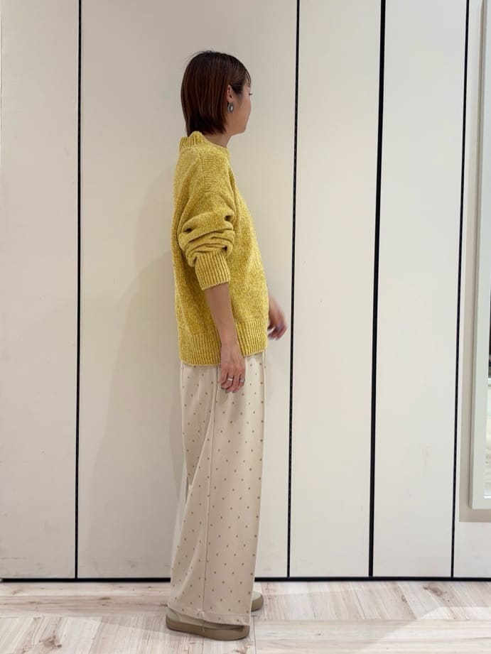 ｓａｔｏｍｉさんの「SHOO･LA･RUE｜【S-LL】きれい見えも叶う フロッキードットワイドパンツ」を使ったコーディネート