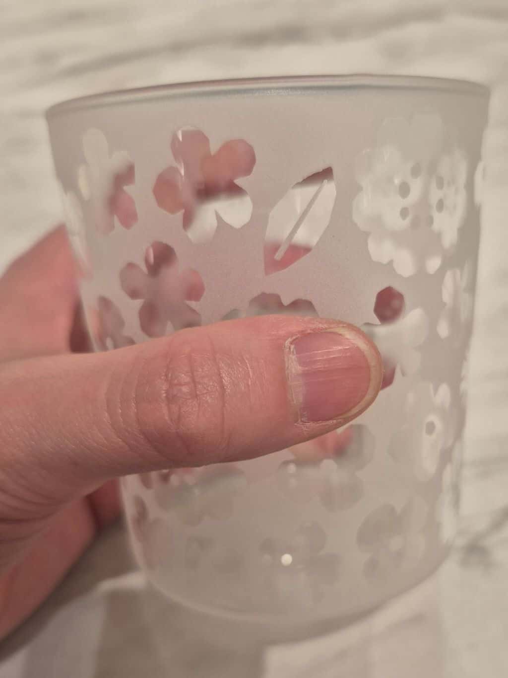 なかさんの「212 KITCHEN STORE｜クッカロッキ グラスS トリ」を使ったコーディネート