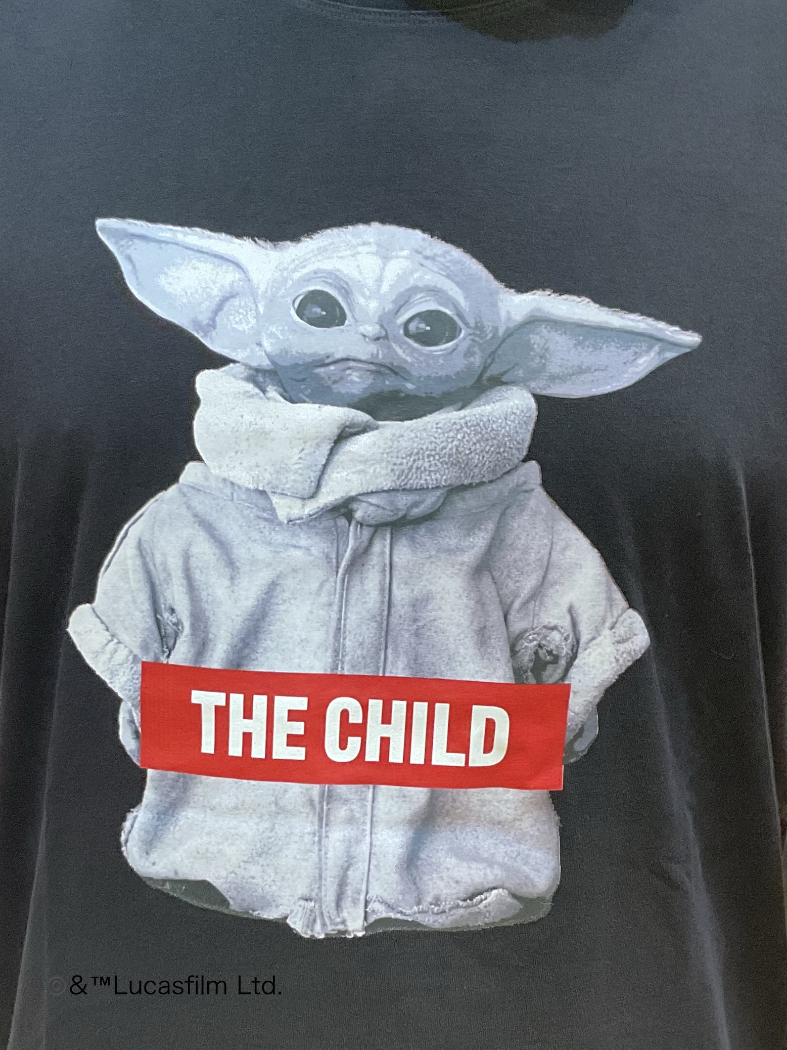 Nagaseさんの「DRESSTERIOR｜【再入荷/接触冷感】STAR WARS ストリートTシャツ」を使ったコーディネート