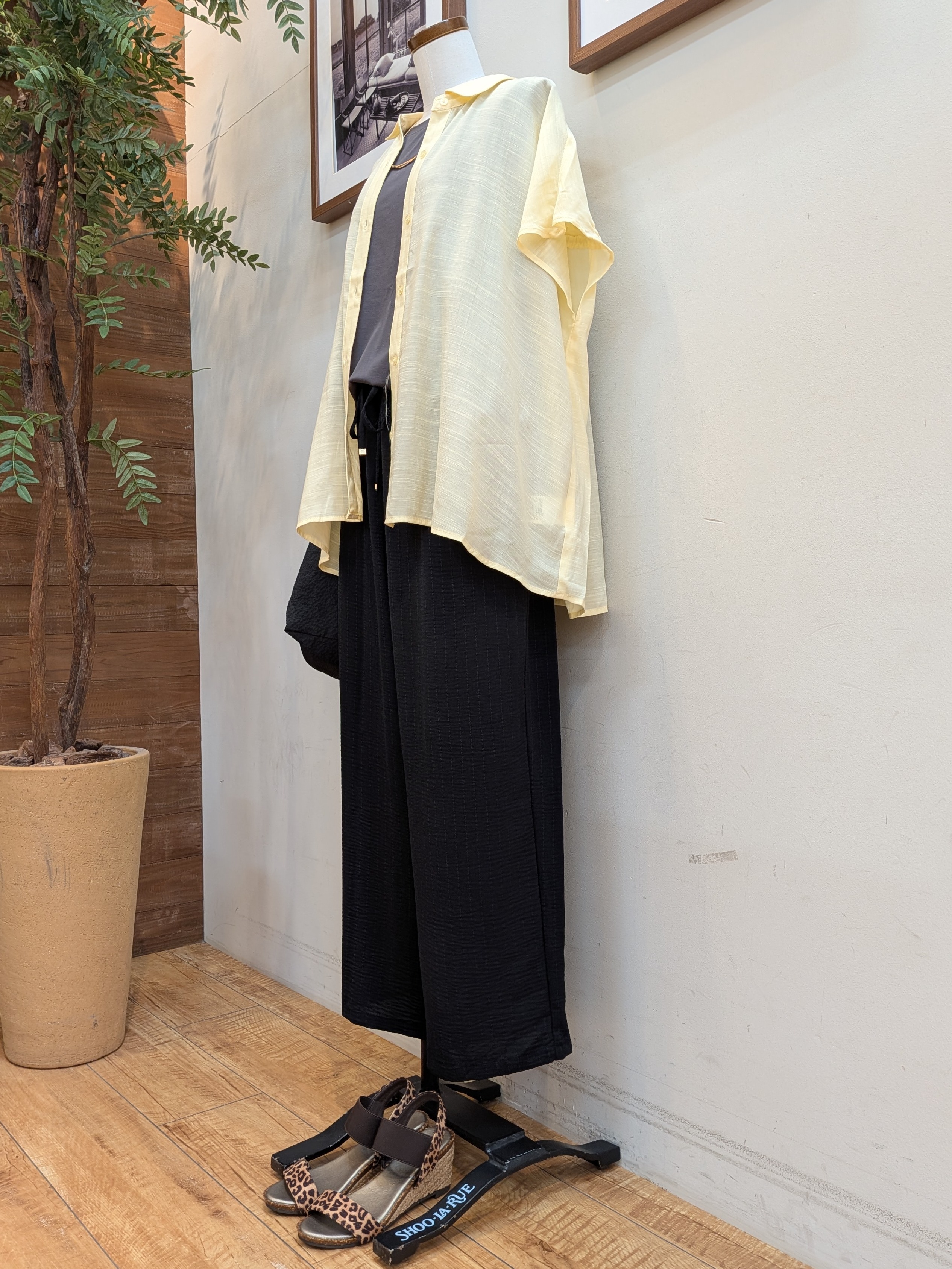 うっちーさんの「SHOO･LA･RUE｜【UV/洗濯機可】ほんのりシアーで上品な バックギャザーブラウス」を使ったコーディネート