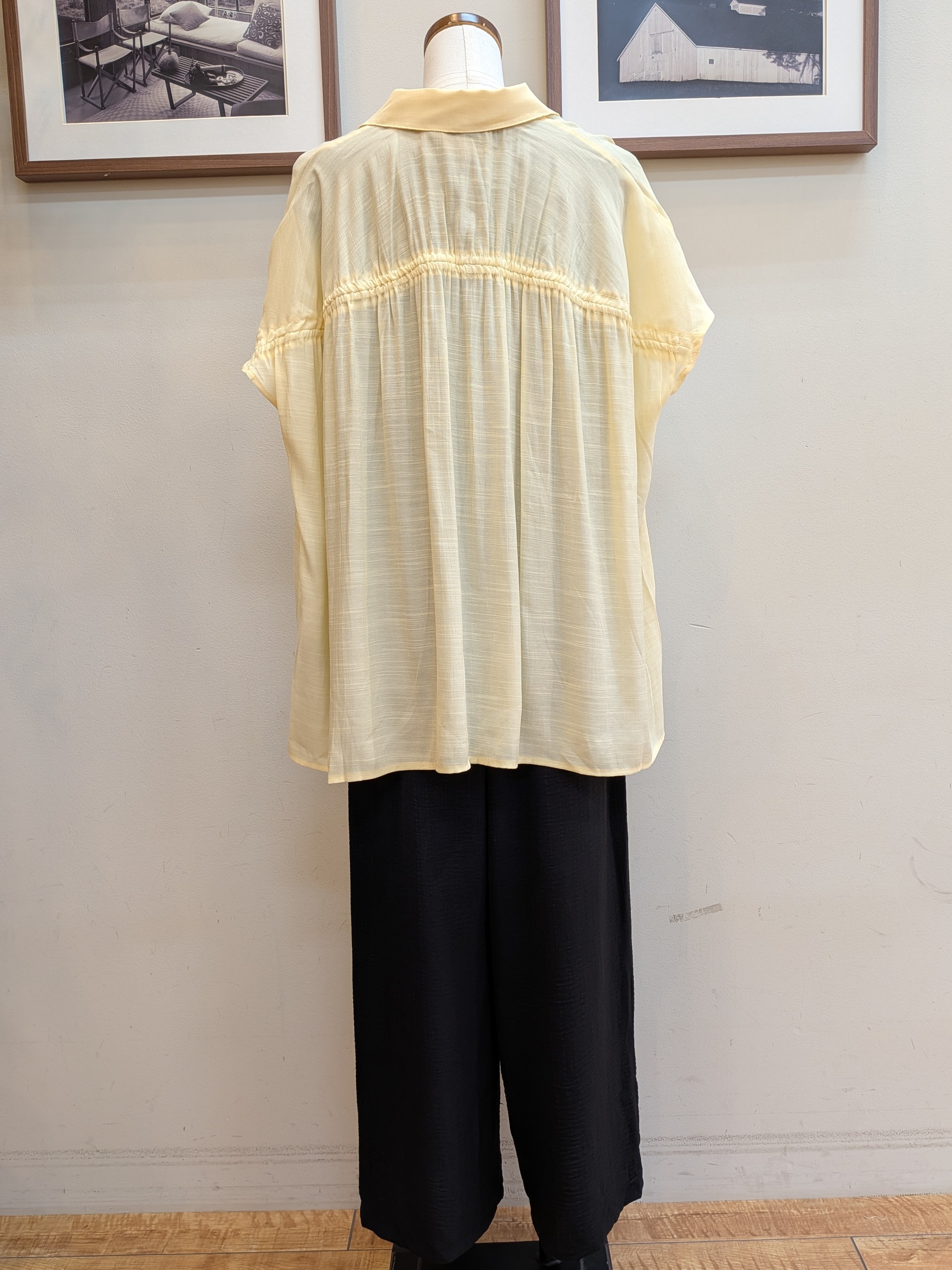 うっちーさんの「SHOO･LA･RUE｜【UV/洗濯機可】ほんのりシアーで上品な バックギャザーブラウス」を使ったコーディネート