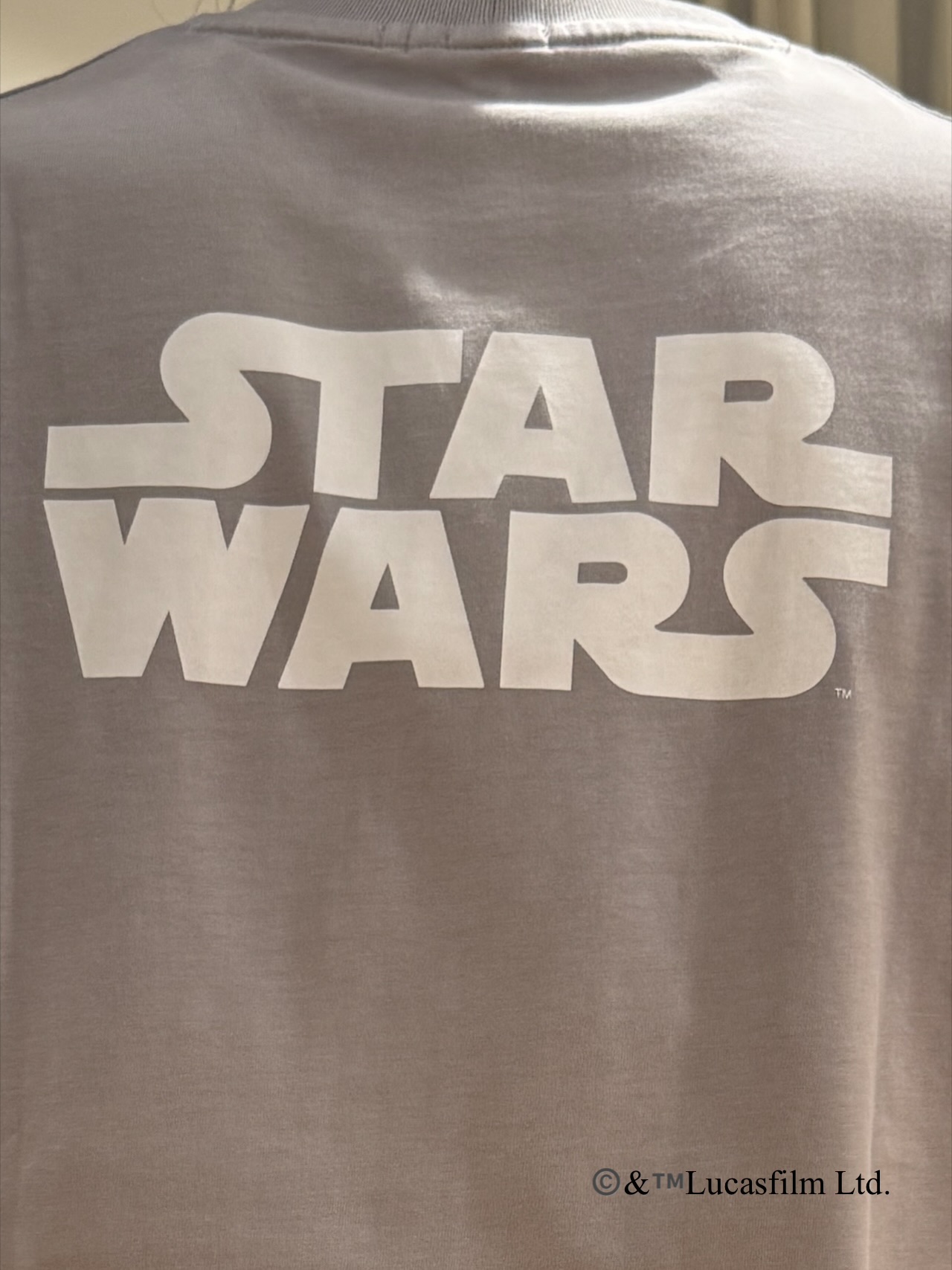 kawarataniさんの「DRESSTERIOR｜【接触冷感】STAR WARS マンダロリアン Tシャツ」を使ったコーディネート
