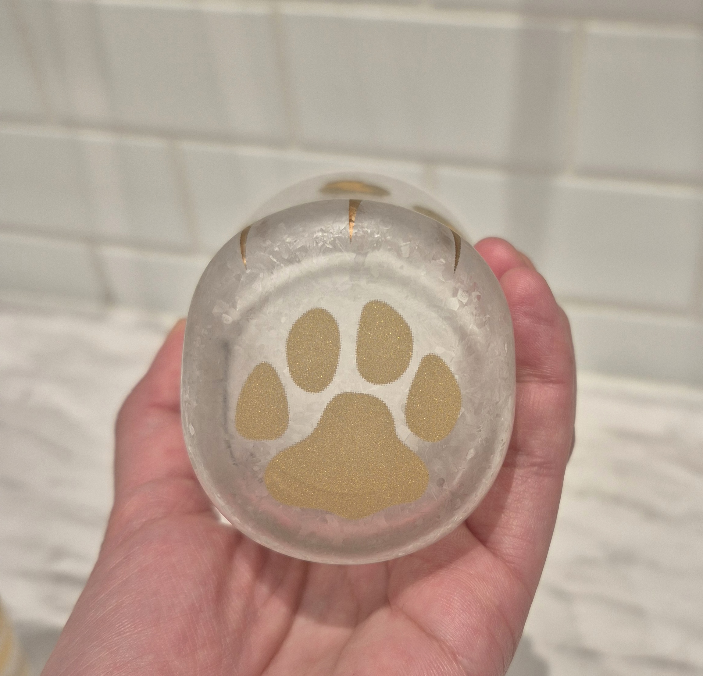 なかさんの「212 KITCHEN STORE｜COCONECO PREMIUM ヒョウ」を使ったコーディネート