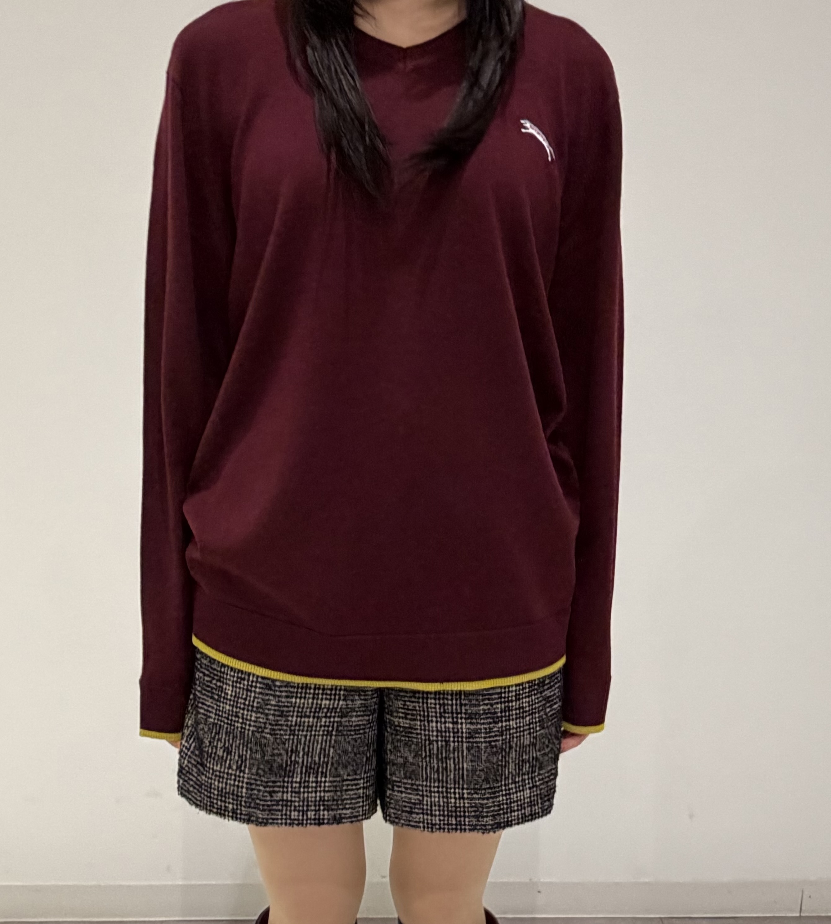齊藤莉子さんの「DRESSTERIOR｜ゼニアバルーファ キャッシュウール Vネックプルオーバー」を使ったコーディネート