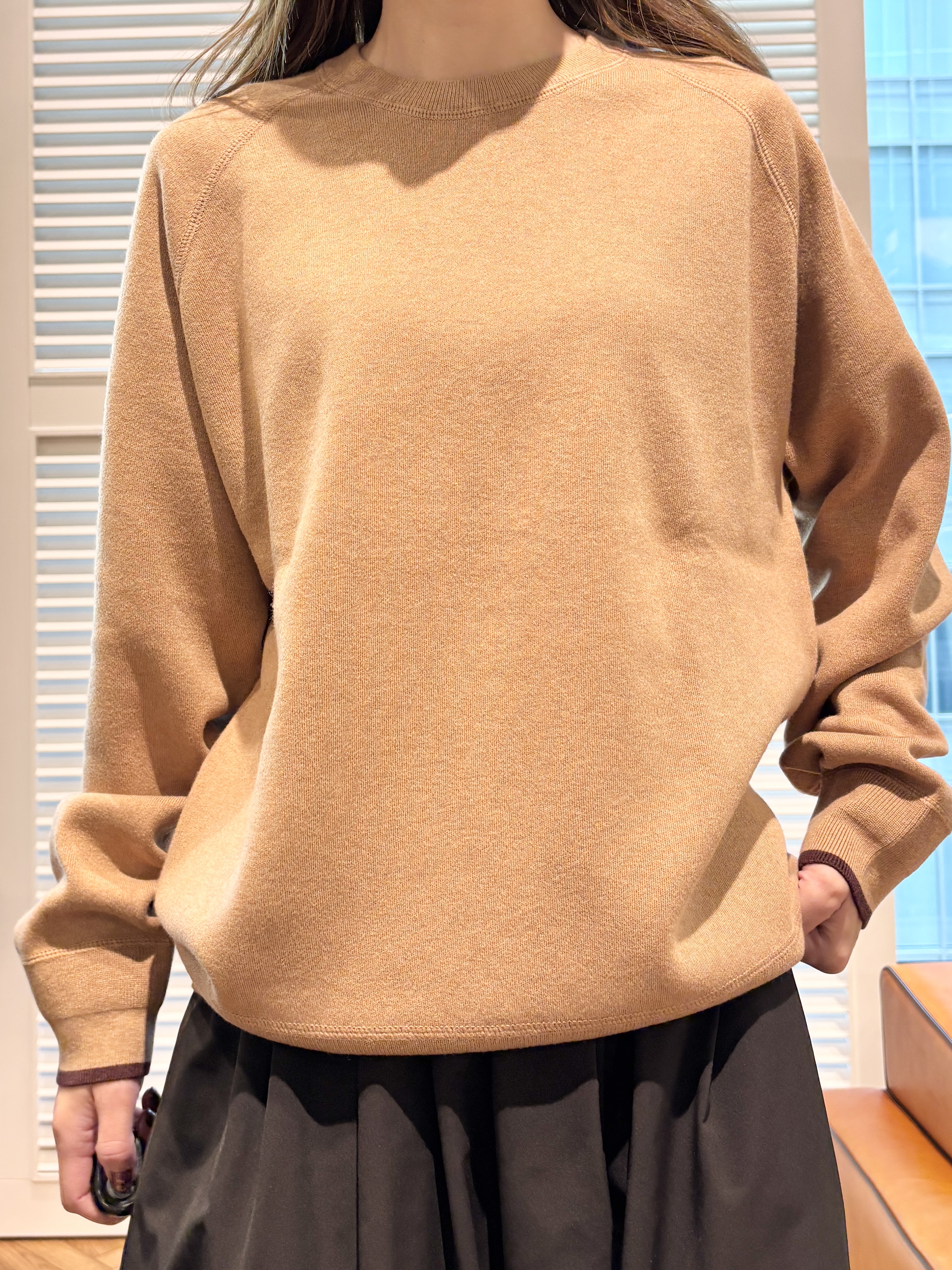 清水夏姫さんの「DRESSTERIOR｜【STORY11月号掲載/マシンウォッシャブル】コットンカシミヤニット」を使ったコーディネート