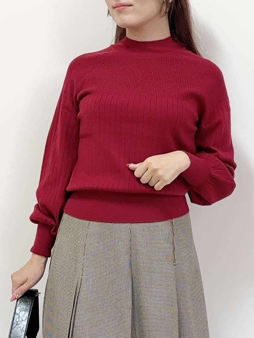 Rinaさんの「DRESSTERIOR｜【ウォッシャブル】バックリボンニット」を使ったコーディネート
