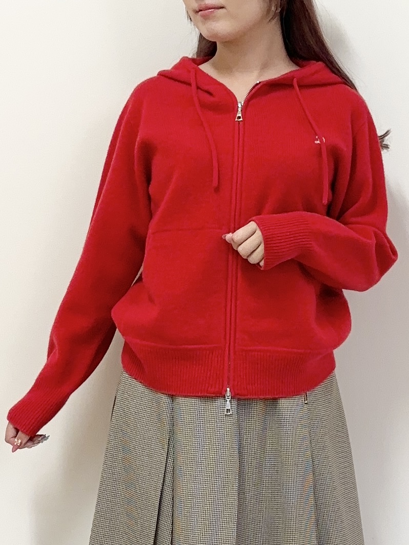 Rinaさんの「DRESSTERIOR｜【STORY11月号掲載】ワイドプリーツガンクラブチェックスカート」を使ったコーディネート